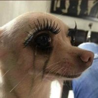 ๐๐๐๐๐๐๐๐ (@shellyyg) 's Twitter Profile