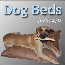 DogCheapSleeps's profile picture. We love dogs and we blog about all things dog. We also sells waterproof & chew resistant dog beds - all sizes and colors! Made in USA.