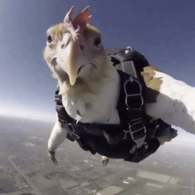 Leame1337's profile picture. 23. 🇷🇺➡️🇯🇵 APAC Valorant player 962 rr peak