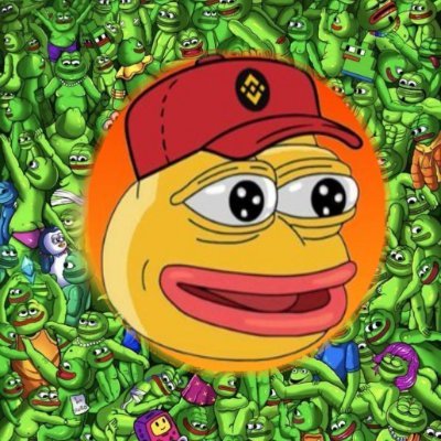 BNB_PEPETOKEN's profile picture. 