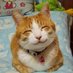 Q16 ECOM (@q16ecom) Twitter profile photo Q16 ECOM (@q16ecom) Twitter profile photo