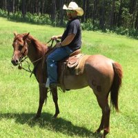 Brad (@smokinhammer) 's Twitter Profile