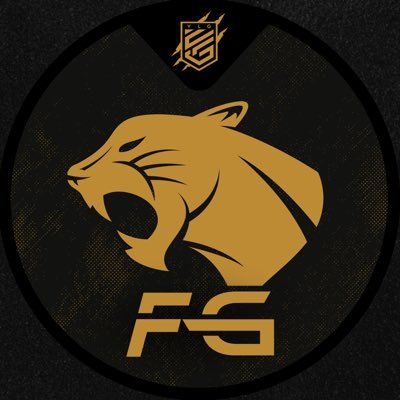 @FGFIFA_