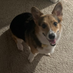 forbrad (@forbrad_) Twitter profile photo forbrad (@forbrad_) Twitter profile photo
