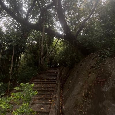 bubblebusan's profile picture. 