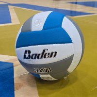 Academy of Holy Angels Volleyball (@ahastarsvball) 's Twitter Profile
