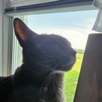 flxz (@timedisplace) Twitter profile photo