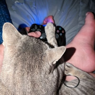 Timothy20240's profile picture. 