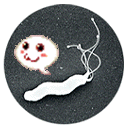 pirolix's profile picture. Mad scientist, Sunday programmer and MovableType hacker. 3rd amateur radio station; JQ3DPB