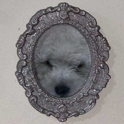 miraeumi's profile picture. 