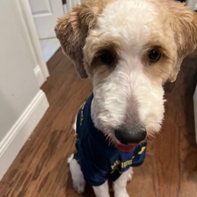 tBlueWall's profile picture. Forever and always #GoBlue