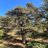 George_Majdal's profile image