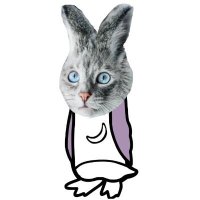 Lynch🐇 (@0x_zkfbg) 's Twitter Profile