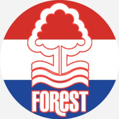 Fanáticos del Forest en Paraguay y el mundo bienvenidos. #NFFC Supporters in Paraguay 🌳🇵🇾