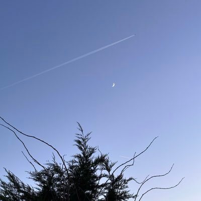 BerinOsrs's profile picture. 