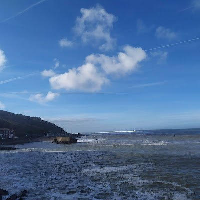 CarrilloEdurne's profile picture. 