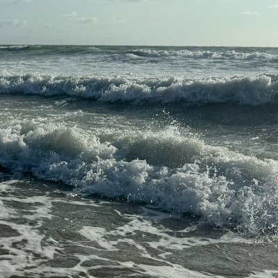 CCBI_M's profile picture. 