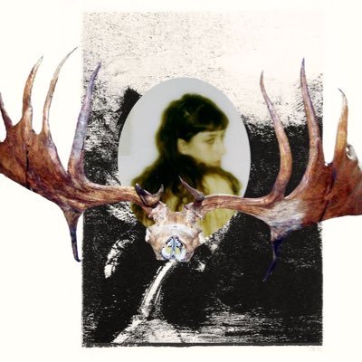 Maayan Sophia Weisstub Profile