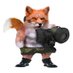 #NAFOFOX (@warnownotafter) Twitter profile photo #NAFOFOX (@warnownotafter) Twitter profile photo