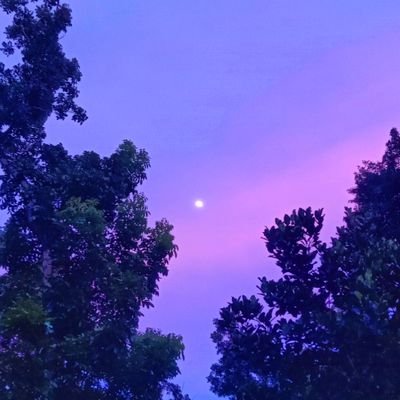 EastLovingWest's profile picture. See you.
:)