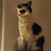 i'm amost me again (@sallynda_) 's Twitter Profile Photo i'm amost me again (@sallynda_) 's Twitter Profile Photo