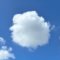 かとぅ〜ん (@katouuuuuun) 's Twitter Profile Photo