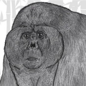 Curious0x1's profile picture. I pay my Taxes