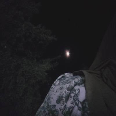 SaraIbrahi29517's profile picture. 🌨️