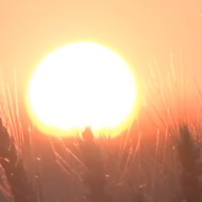 doll_i3's profile picture. ☆20