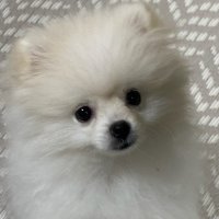 keiseki2011 (@keiseki2011) 's Twitter Profile