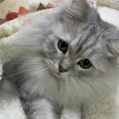 tora__0914's profile picture. ログアウト