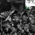 Riffxid WELL (@runxidd) Twitter profile photo Riffxid WELL (@runxidd) Twitter profile photo