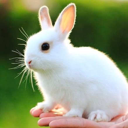 ayano_mata's profile picture. 34歳　結婚5年目　2021年10月〜不妊治療
R4年7月うすだで移植①❌10月移植②❌
11月〜KLC→R5年2月採卵②→4/29日移植③→5/6判定🧚
sixtones北斗担だけど基本箱推しです🖤
本垢＠kim1103aya