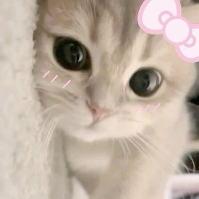 ໒꒰ྀིっ˕ -。꒱ྀི১ 9teen ♡ if you want to spoil me💕https://t.co/jEVD5XHNys