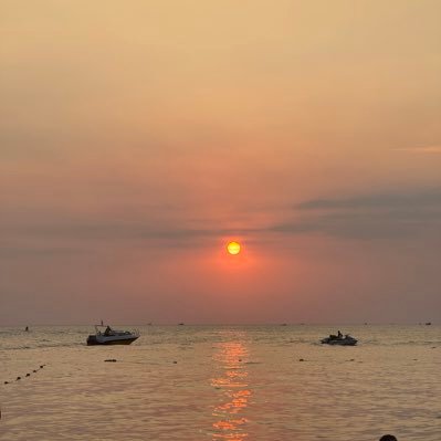 Mrfrog90's profile picture. Tsla investor & Options seller