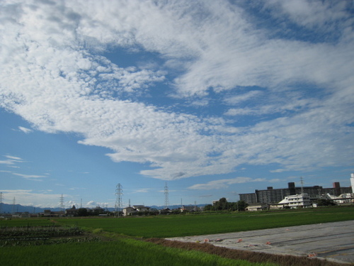 普通の学生です。