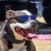 Dr. Rufus T. Barleysheath (@djsquirrellyd) Twitter profile photo Dr. Rufus T. Barleysheath (@djsquirrellyd) Twitter profile photo