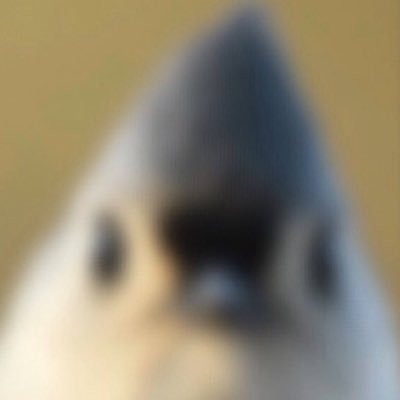 aemeath00's profile picture. 