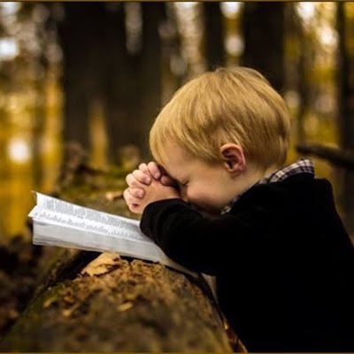 qiao_zhang58616's profile picture. 