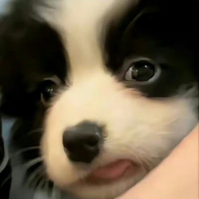ynymngmng864948's profile picture.