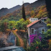 Carlos Martínez (@carlosm97962669) 's Twitter Profile
