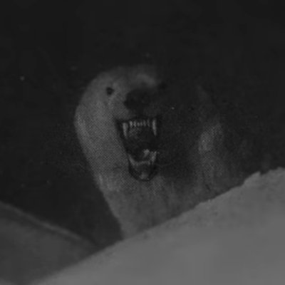 CRNA4Reel's profile picture. 