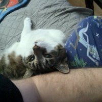 cultofcurtis (@cultofcurtis) 's Twitter Profile