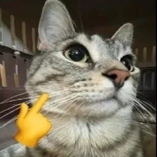 Luis76781263985's profile picture. I love women