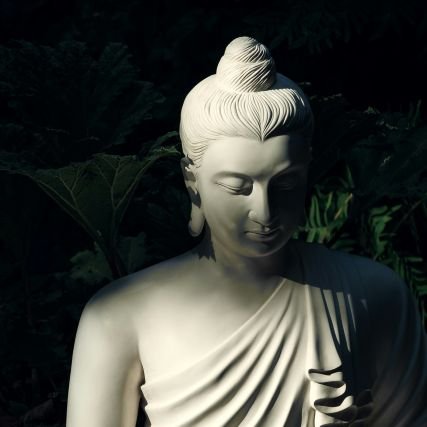 srinivasreddyI's profile picture. 