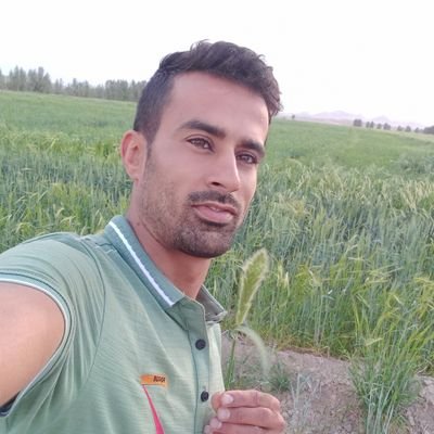 لیسانس مهندسی کشاورزی
کاشت گندم و پنبه و هندوانه و خربزه و بادمجان و........
