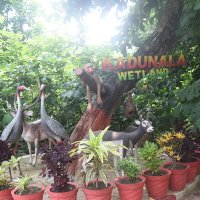 DFOAmethi (@dfoamethi) 's Twitter Profile