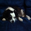 sharon snowden - @ShazPurple - Twitter