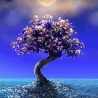 mfridericka (@mfridericka) 's Twitter Profile