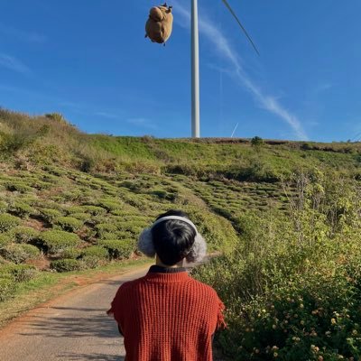 AaronNimz's profile picture. 